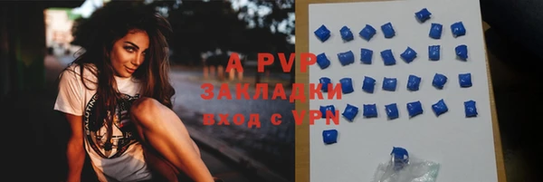 стаф Баксан