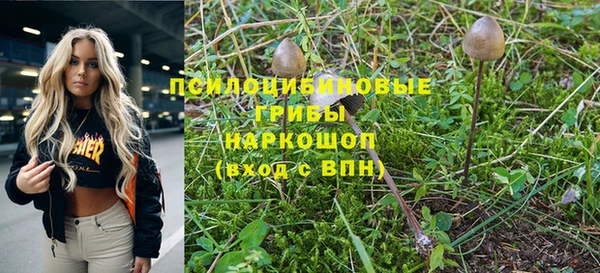 стаф Баксан