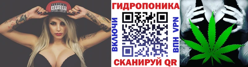 Канабис гибрид  Олёкминск 